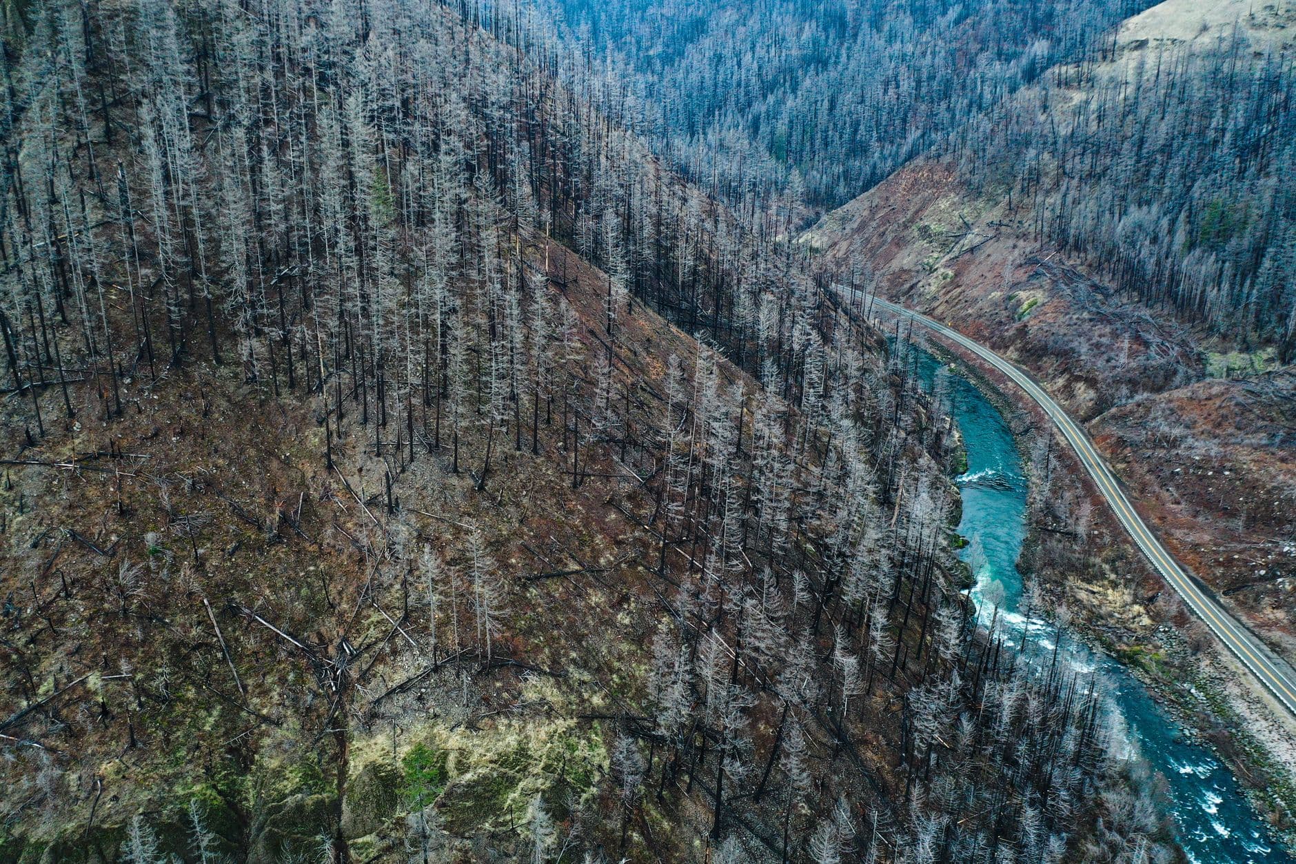Devastating European wildfires in maps - and how they're being tackled