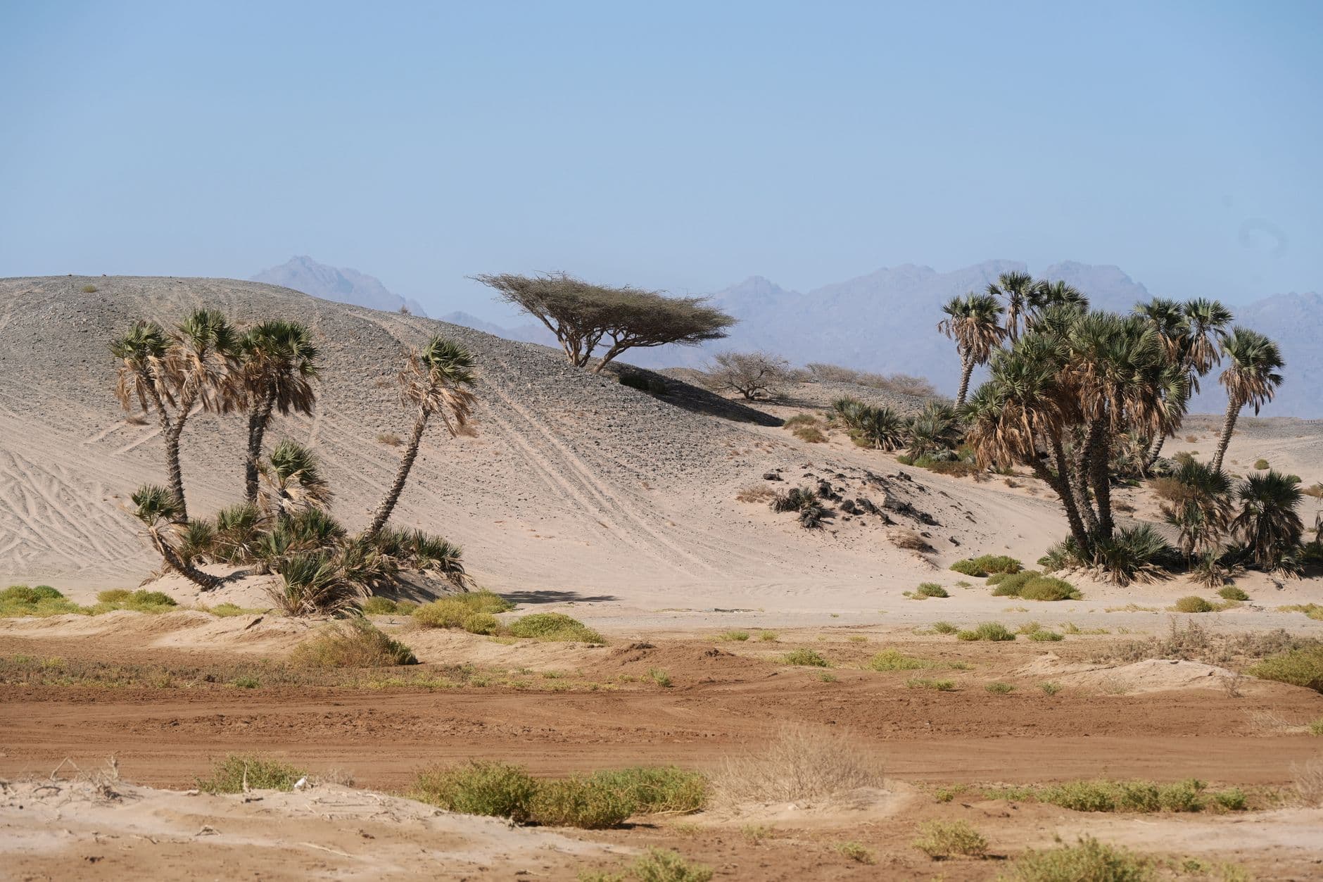 Dust-stirring winds, rain forecast across parts of Saudi Arabia